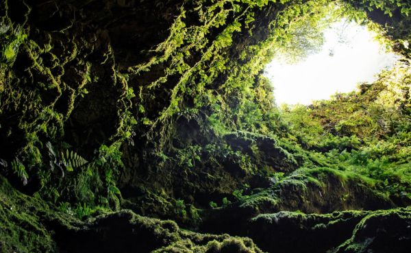 Imagen de ISLA TERCEIRA