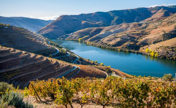 Imagen de DUERO