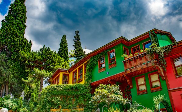 Imagen de BURSA
